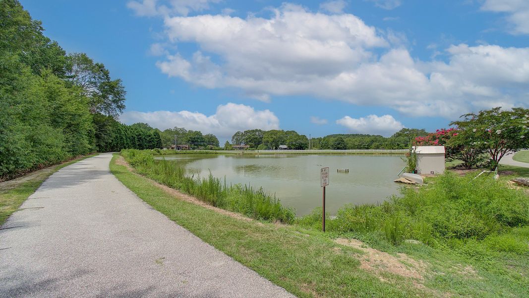 Natural surroundings and green spaces near Everson in Snellville, GA (Image 21).
