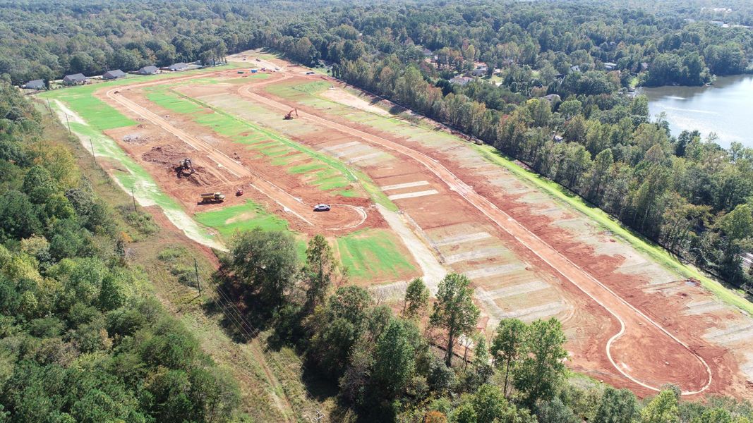 A road with trees and grass.