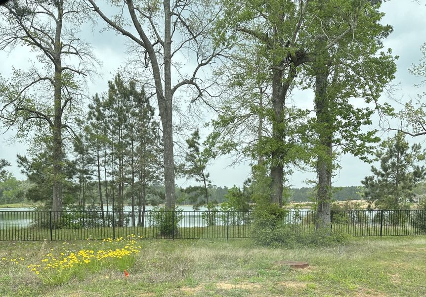 A serene lakeside view with lush trees and wildflowers at Lakes at Crockett Martin by Century Communities (Conroe, TX). A serene lakeside view with lush trees and wildflowers at Lakes at Crockett Martin by Century Communities (Conroe, TX).
