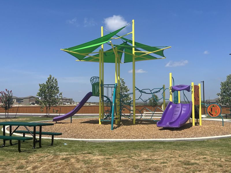 Community Playscape