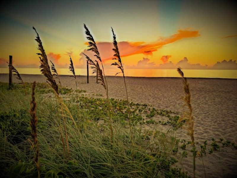 Natural surroundings and green spaces near The Strand in Vero Beach, FL (Image 113).