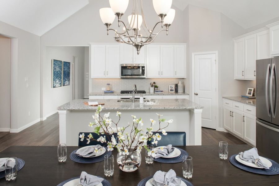 Image 8 of the Prairie View - 55s community in Frisco, TX.