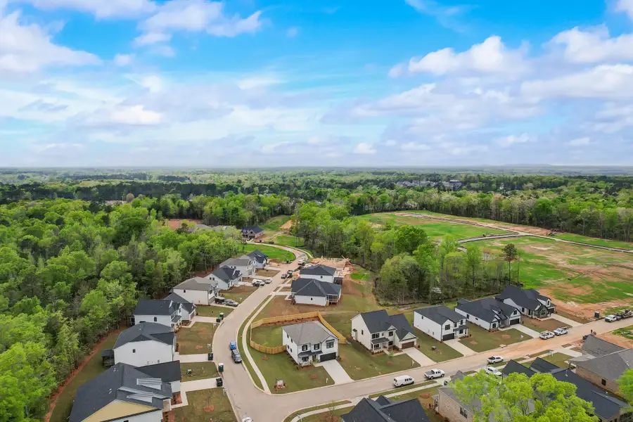 Collins Cove Aerial View