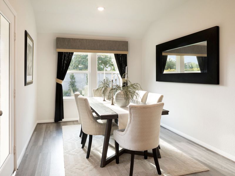 Image 5 of the Riverstone Ranch - Premier community in Pearland, TX.