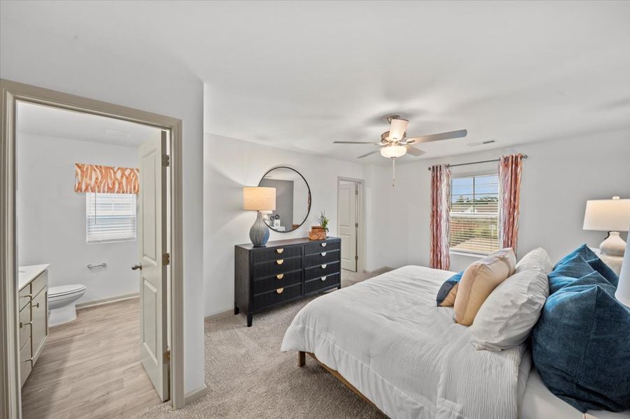 Palomino - Owner's Suite Palomino - Owner's Suite