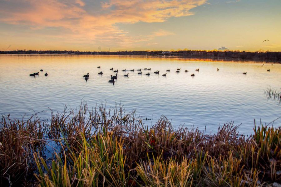 Image 18 of the The Grove at White Rock Hills – Gardens community in Dallas, TX.