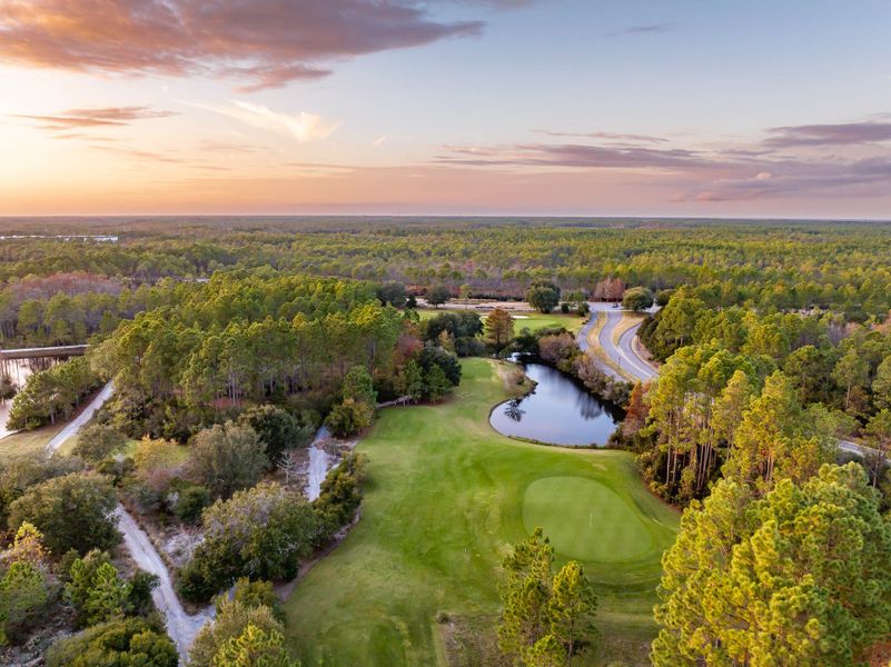 Natural surroundings and green spaces near The Villas at Longleaf Park, a Watersound Origins® community in Inlet Beach, FL (Image 41).