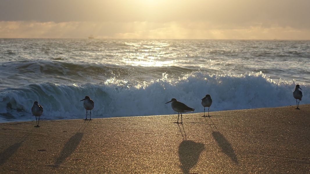 Image 21 of the Palm Coast Homesites community in Palm Coast, FL.