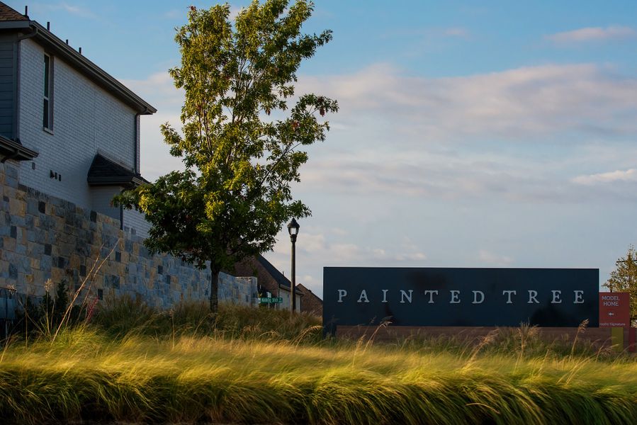 Painted Tree Community Photo