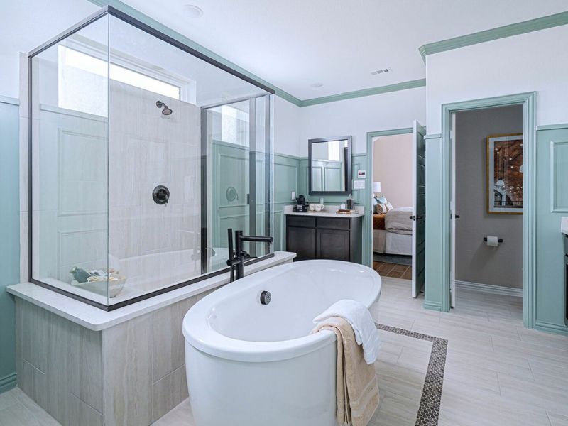 Image 6 of the Hollyhock Classic Series community in Frisco, TX.