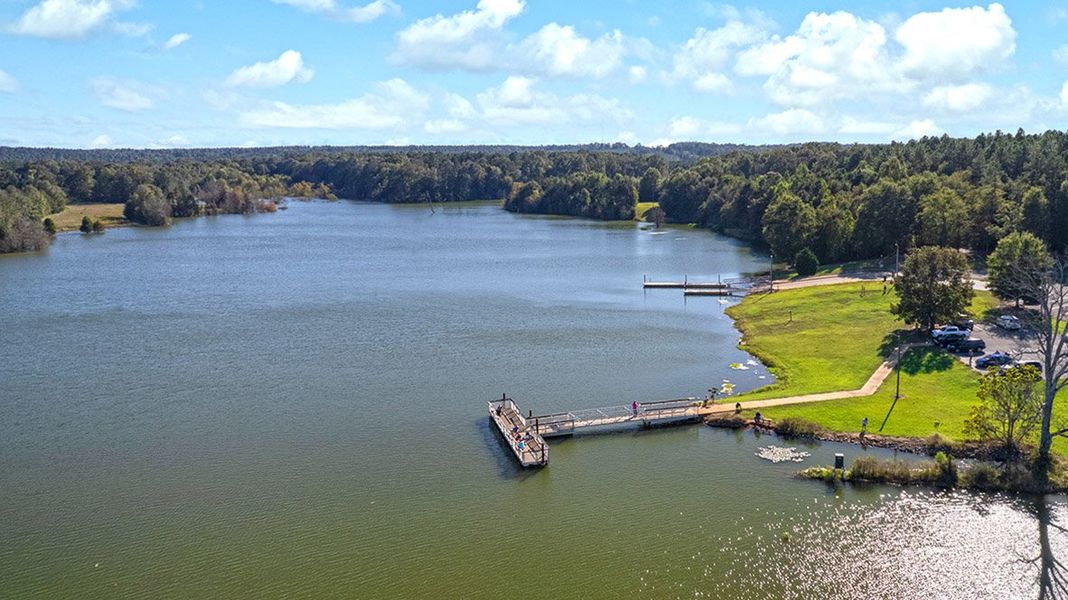 Natural surroundings and green spaces near Remington Chase in Perry, GA (Image 12).