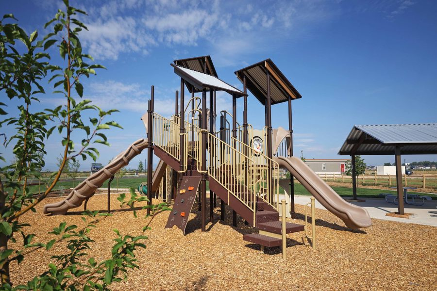 Community amenity available to residents of Granary Trailblazer Collection - Single Family Homes in Johnstown (Image 14). Community amenity available to residents of Granary Trailblazer Collection - Single Family Homes in Johnstown (Image 14).