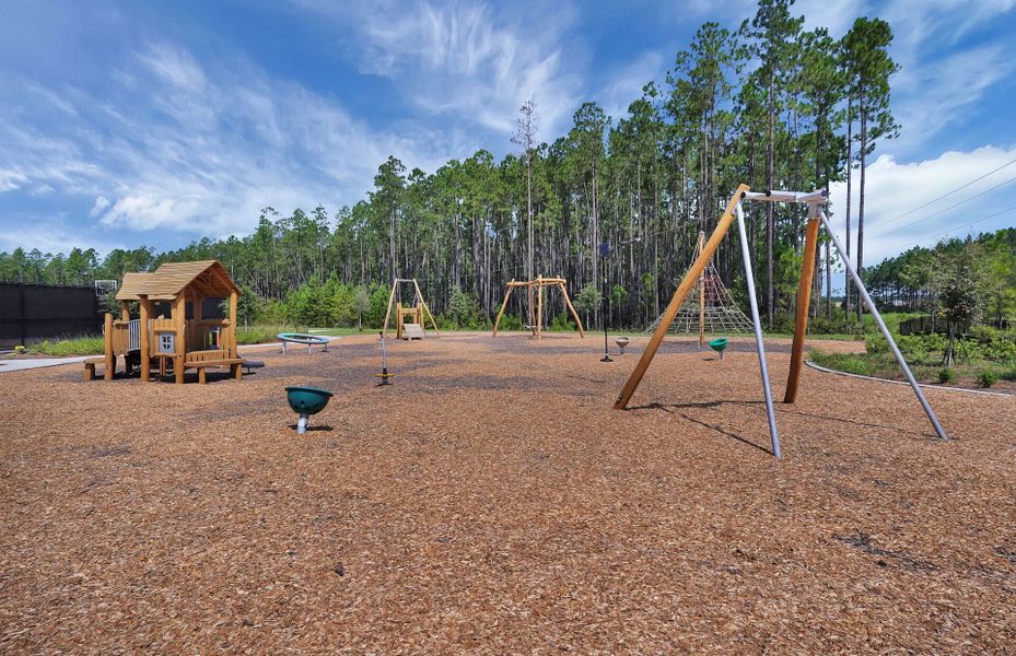 Family Fun Playground