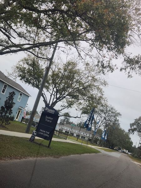 Tranquil street view in Sadler Trace by Ryan Homes, Jacksonville, FL, featuring charming homes and lush greenery. Tranquil street view in Sadler Trace by Ryan Homes, Jacksonville, FL, featuring charming homes and lush greenery.