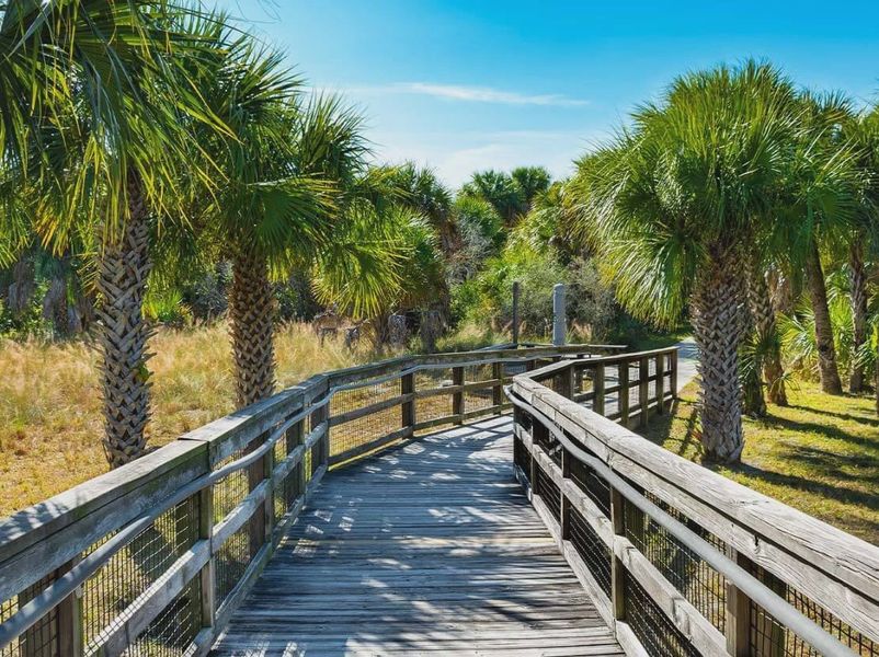 Natural surroundings and green spaces near Coasterra in Palmetto, FL (Image 32).