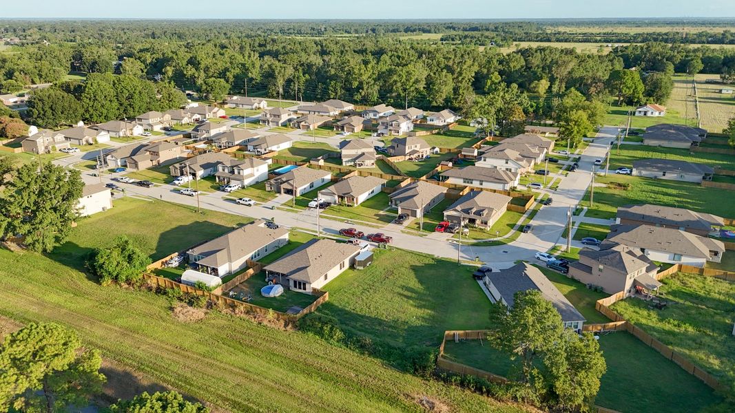 Pecan Orchard Aerial