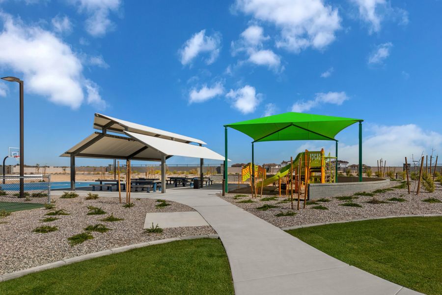 Community Park - Playground and Ramada | The Grove at Citrus Park | New Homes in Goodyear, AZ | Landsea Homes