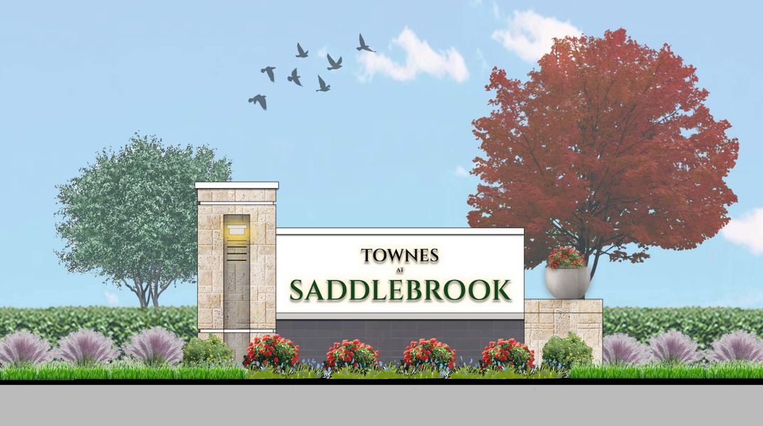 Townes at Saddlebrook New Homes in Wesley Chapel, FL. - Slide 11 Townes at Saddlebrook New Homes in Wesley Chapel, FL. - Slide 11