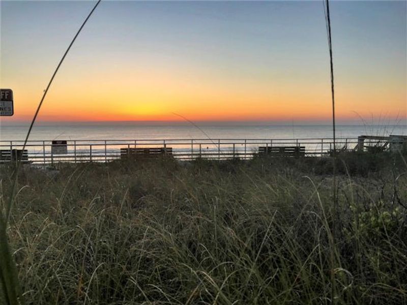 Natural surroundings and green spaces near Lucaya Pointe in Vero Beach, FL (Image 75).
