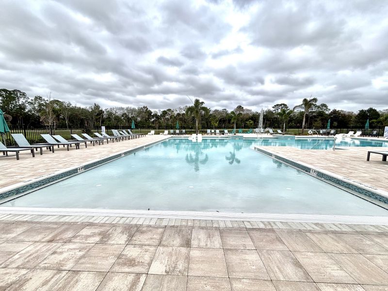 A luxurious pool with ample lounge chairs and palm trees in Naples Village at Verona I by KB Home (Titusville, FL).