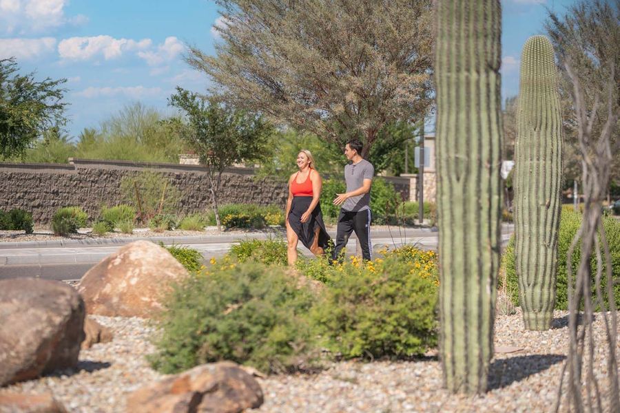 Beautiful Masterplan