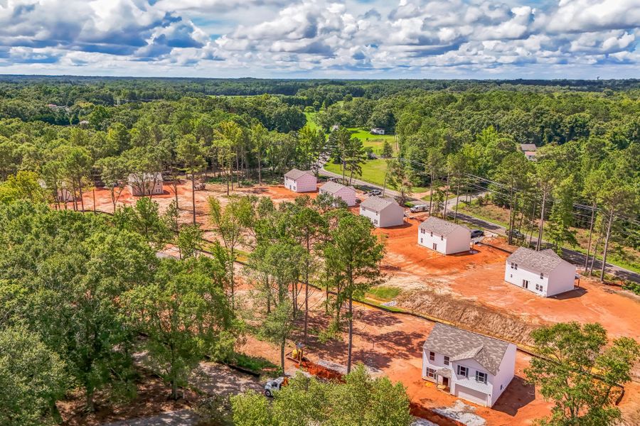 A group of houses surrounded by trees.