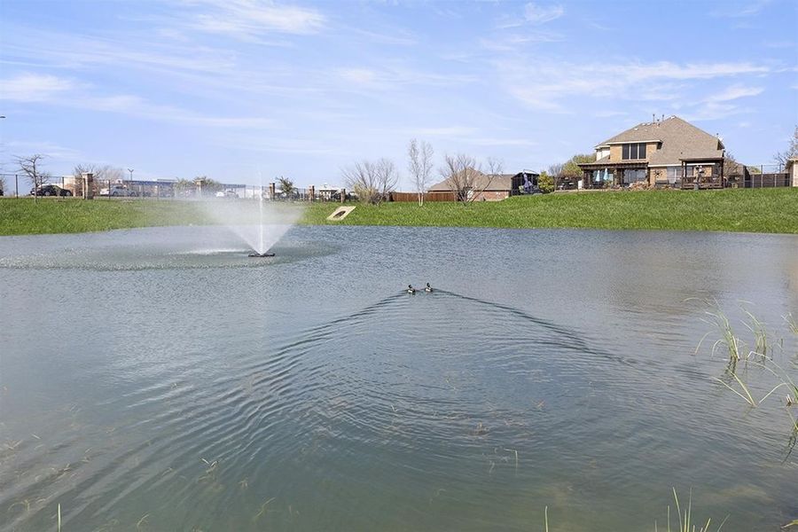 Image 44 of the The Villages of Fox Hollow community in Forney, TX.