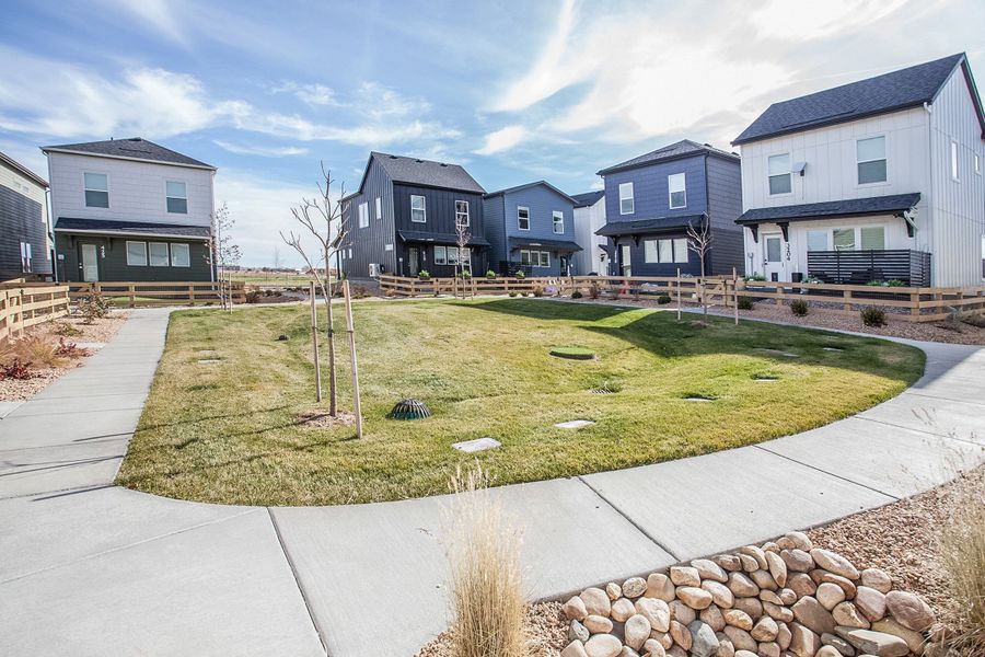 Front exterior of a home in the Bloom community, located in Fort Collins, CO (Image 10).