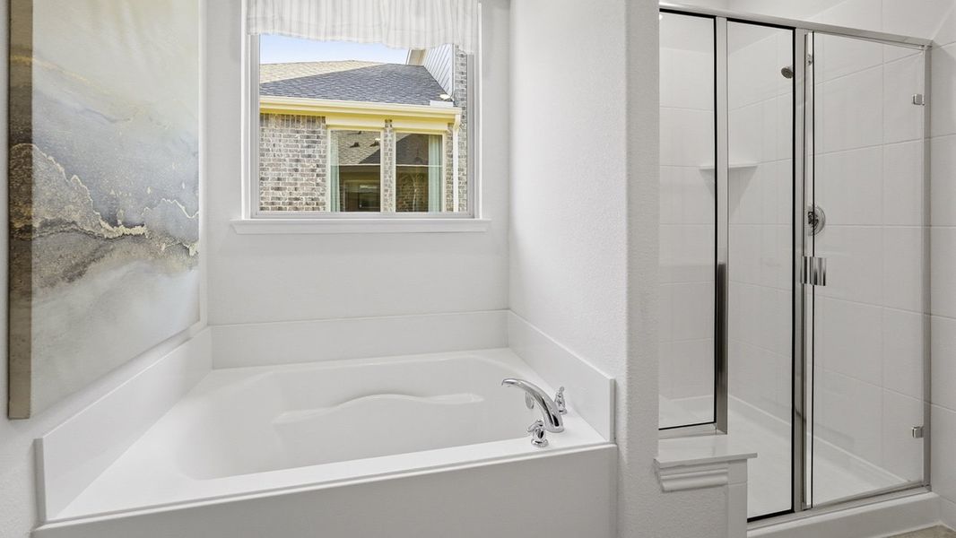 Image 112 of the The Woods at Lindsey Place community in Anna, TX.