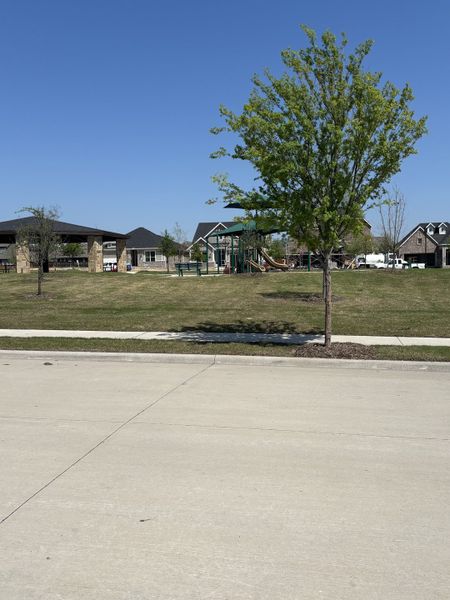 A scenic park view in the Bayside community by Mattamy Homes, featuring playgrounds and open space (Rowlett, TX).