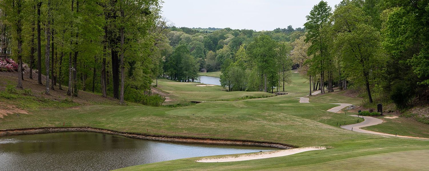 Natural surroundings and green spaces near East Harbor II at Chestatee in Dawsonville, GA (Image 22).