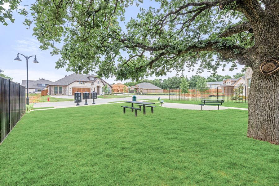 Community park with large oak tree, green lawn, picnic table, and benches near neighborhood homes Community park with large oak tree, green lawn, picnic table, and benches near neighborhood homes