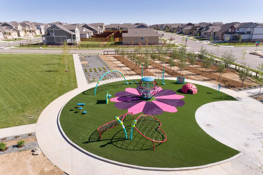 Community amenity available to residents of Festival at RainDance in Windsor (Image 41).