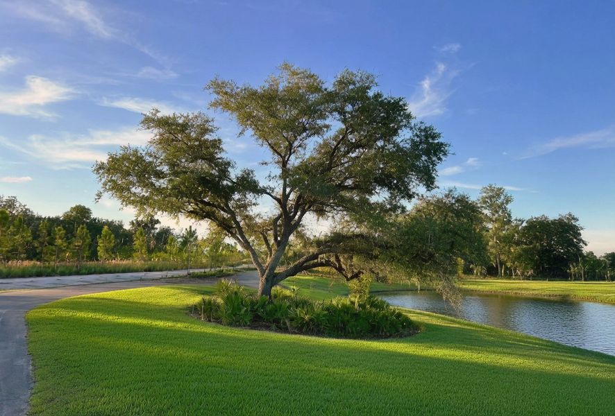 Natural surroundings and green spaces near Encore at Rye Ranch – Traditions in Parrish, FL (Image 14).