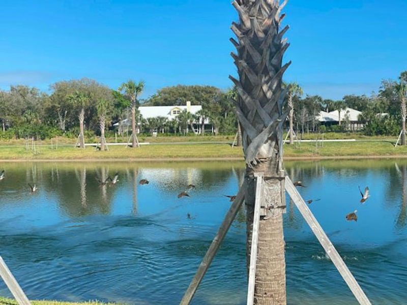 Image 117 of the The Strand community in Vero Beach, FL.