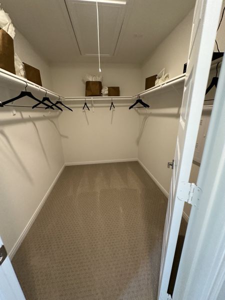 A spacious walk-in closet featuring plush carpet, ample shelving, and sleek clothing racks for organized storage.