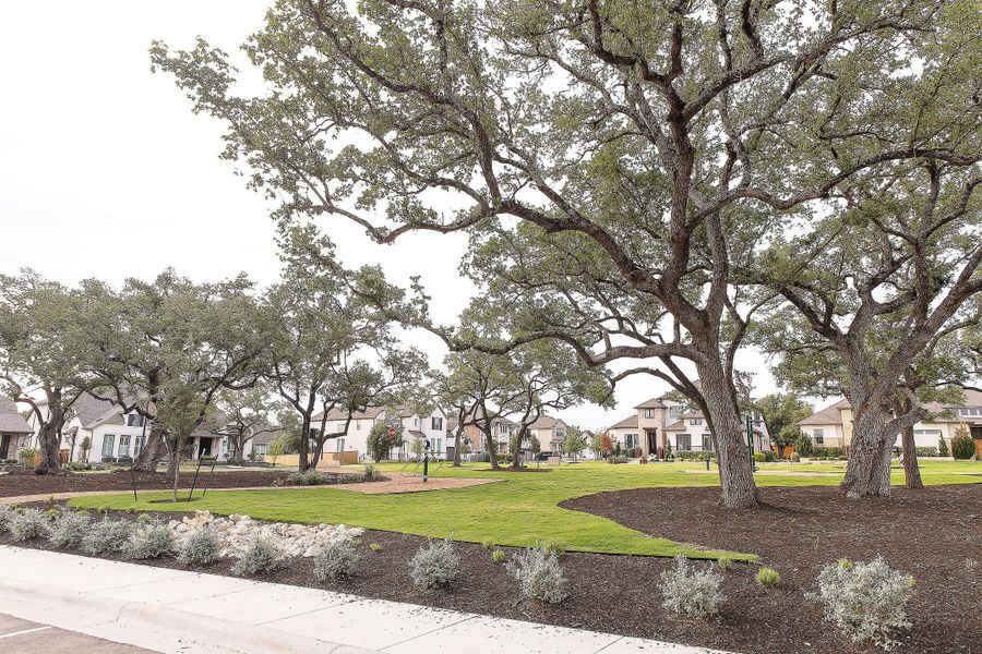 Natural surroundings and green spaces near Parkside On The River in Georgetown, TX (Image 18).