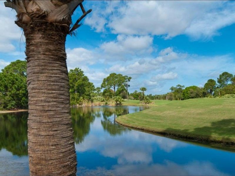 Natural surroundings and green spaces near Bent Pine Preserve in Vero Beach, FL (Image 81).