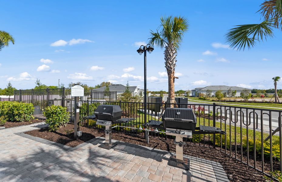 BBQ Grill Area