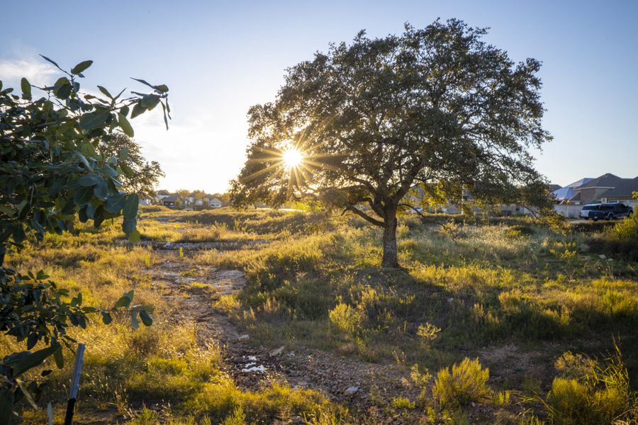 Natural surroundings and green spaces near Veramendi in New Braunfels, TX (Image 6).
