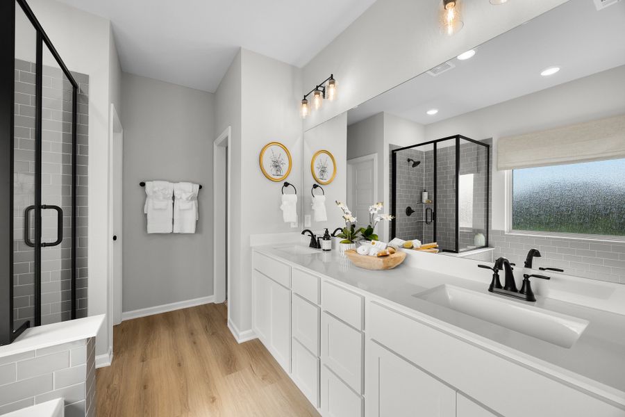 Palmilla Springs - Elderberry Model Home