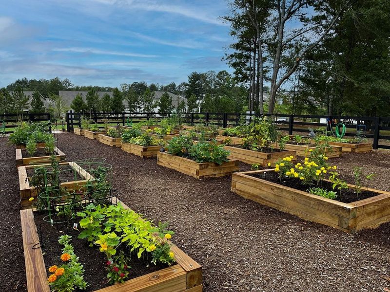 The resident-led Garden Club organizes and directs activities with its green-thumbed members.