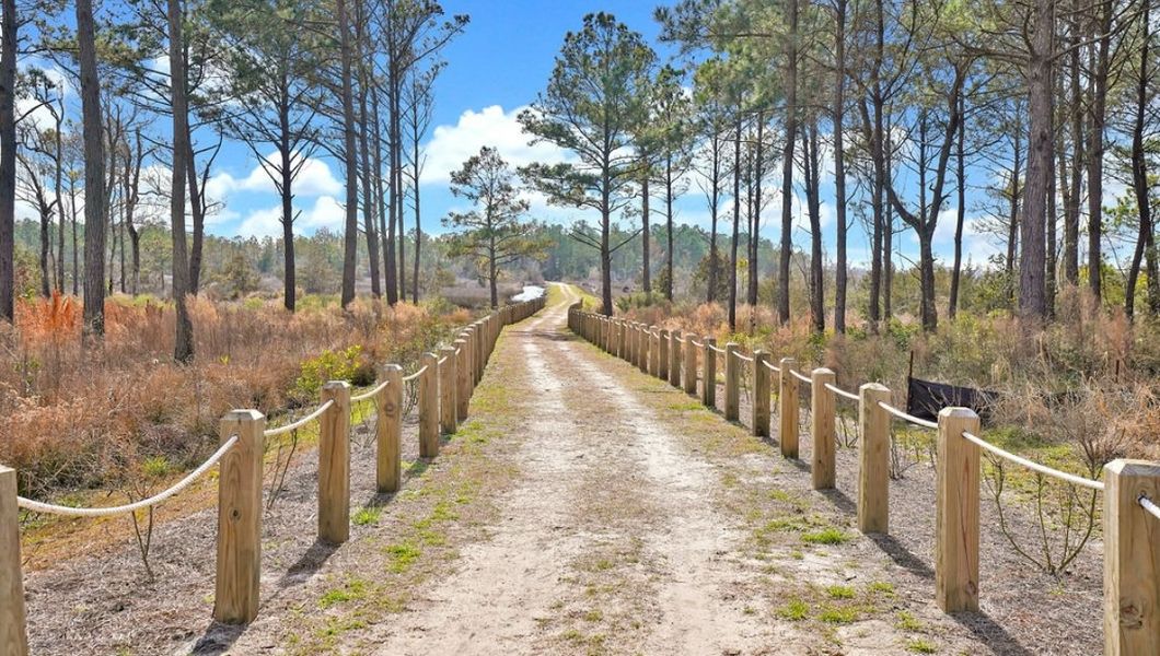 Natural surroundings and green spaces near The Preserve at Tidewater in Sneads Ferry, NC (Image 18).