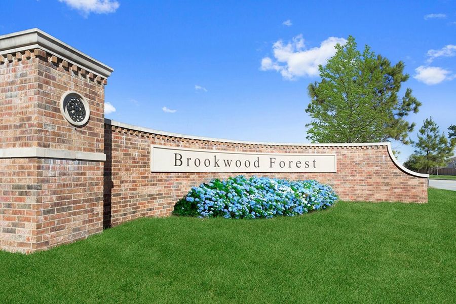 Image 2 of the Brookwood Forest Springs community in Porter, TX.