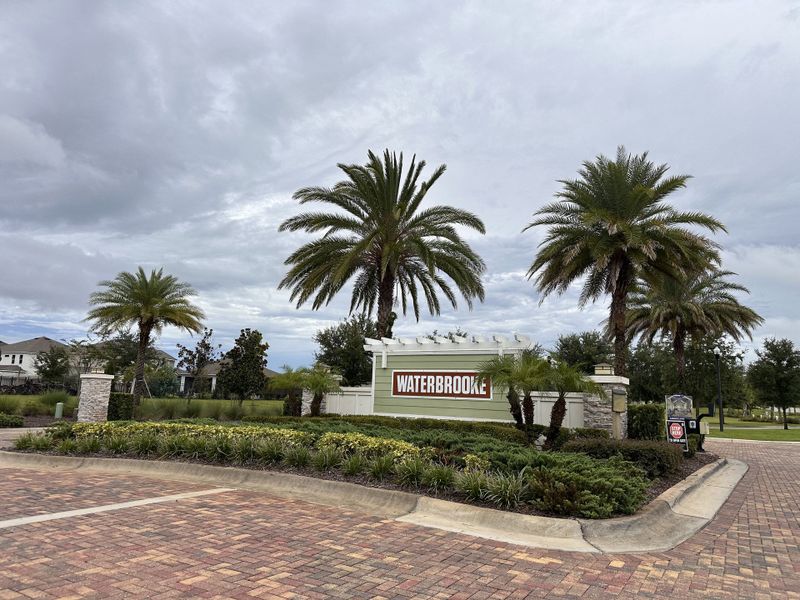A grand entrance with towering palms welcomes you to Waterbrooke by Mattamy Homes in charming Clermont, FL.