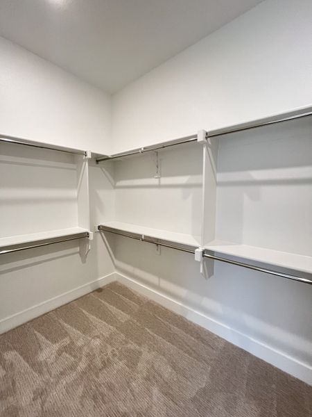 A spacious walk-in closet featuring plush carpet, sleek shelving, and ample hanging space for organized storage.