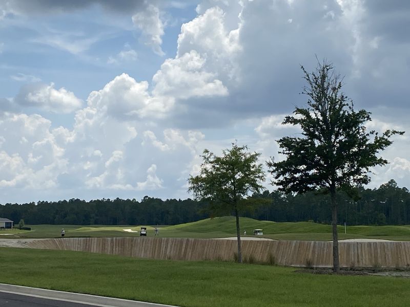 A scenic golf course with lush greenery and a distant forest view in Stillwater by Lennar (St. Johns, FL).