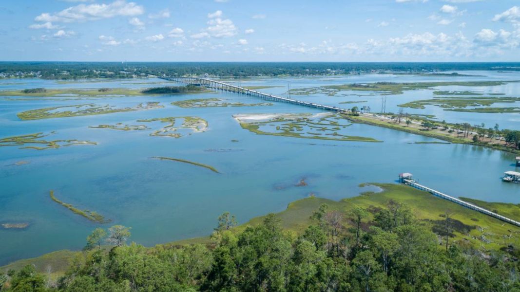 Natural surroundings and green spaces near Merchant Point in Jacksonville, NC (Image 13).