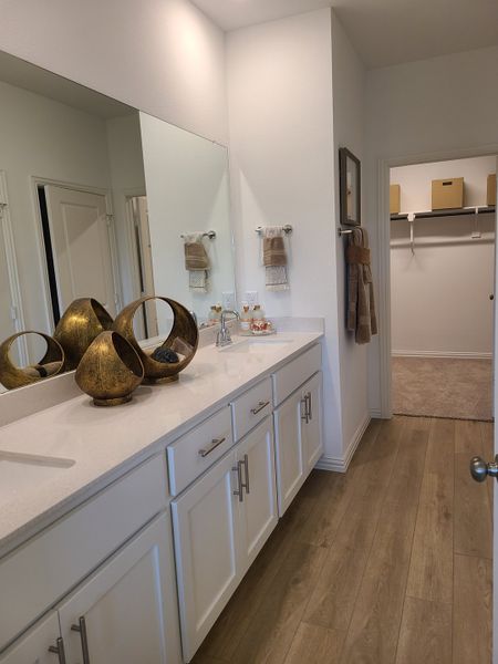 A bright bathroom with white cabinetry, large mirror, and elegant decor leading to a spacious walk-in closet.