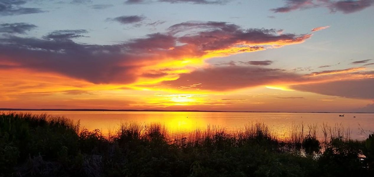 Image 21 of the Dillard Pointe community in Winter Garden, FL. Image 21 of the Dillard Pointe community in Winter Garden, FL.